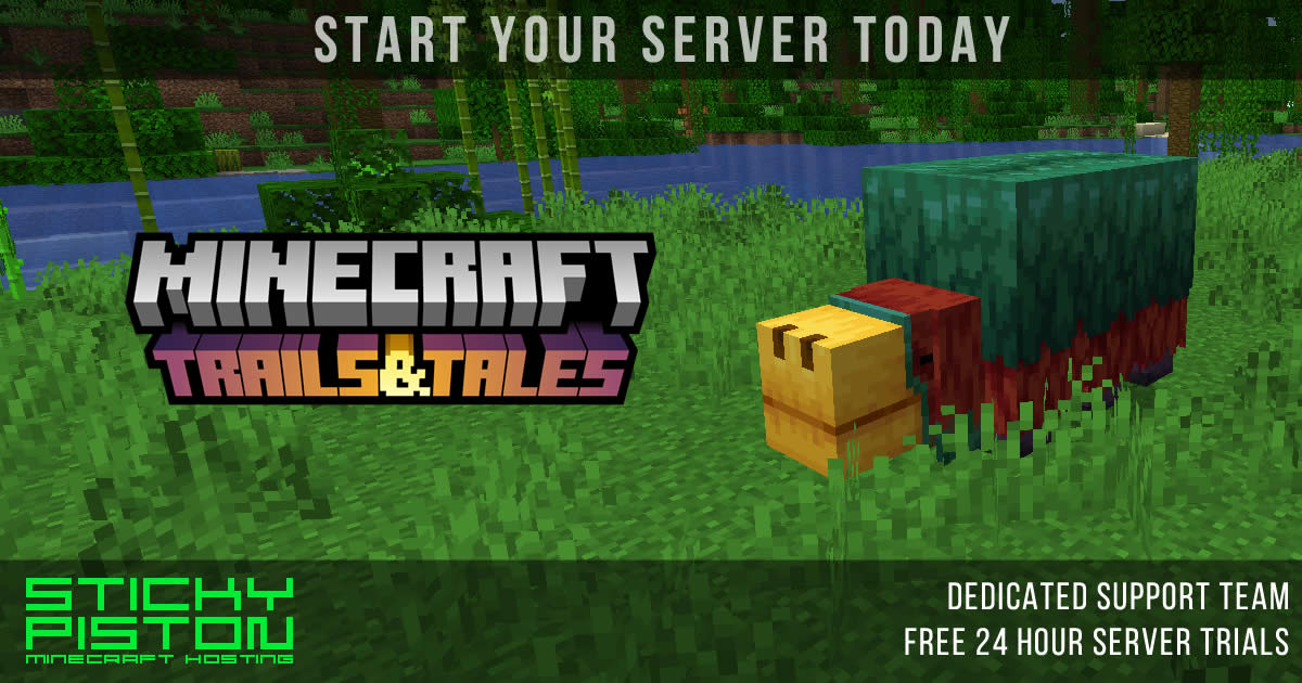 MineCraft 1.20.2 ! Server Hosting - 20 Players 8GB RAM!, 1 Year / 365 Days