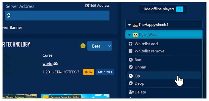 Manage Server Player, get a complete history of your players, manage their role and permissions