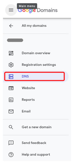 Google Domains side menu DNS entry