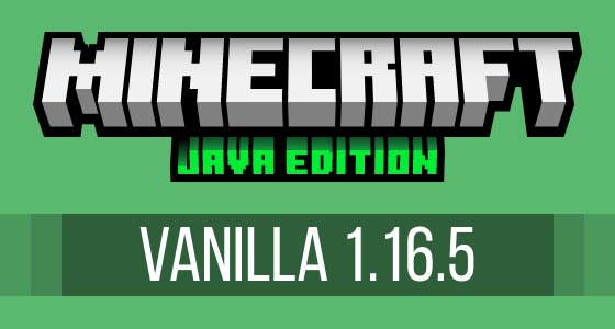 Minecraft Minecraft Vanilla 1.16.5 server