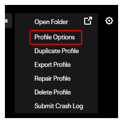 Minecraft Profile Options