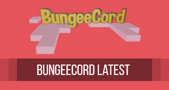 Spigot BungeeCord Server Hosting