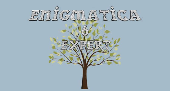 Enigmatica 6 Expert - E6E Server Hosting