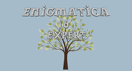 Enigmatica 6 Expert - E6E Modpack