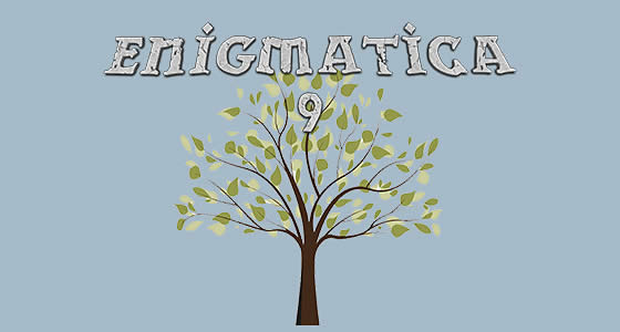 Enigmatica 9
