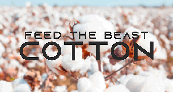 Feed the Beast FTB Cotton server