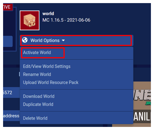 The Activate World Option in the World Manager