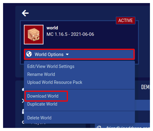 World Manager Download World Option