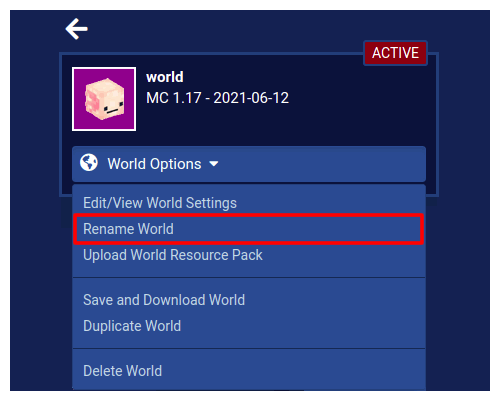 Rename World in the World Options dropdown of the World Manager