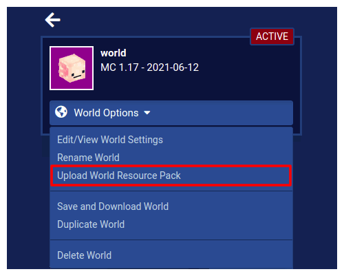 World Manager Upload a Resource Pack World Option