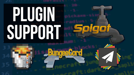 Plugin support for your Minecraft server