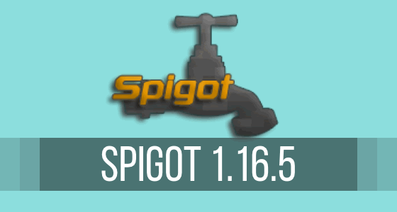 Spigot 1.16.5 Server Hosting